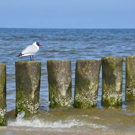 Kuestenhaus Prázdninový dům